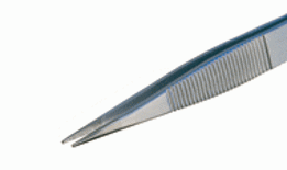 PİERGİACOMİ 00D SA