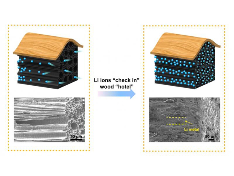 Kategori İçin Resim Ahşap Yapıdan Esinlenerek, Güvenli Pil Keşfedildi